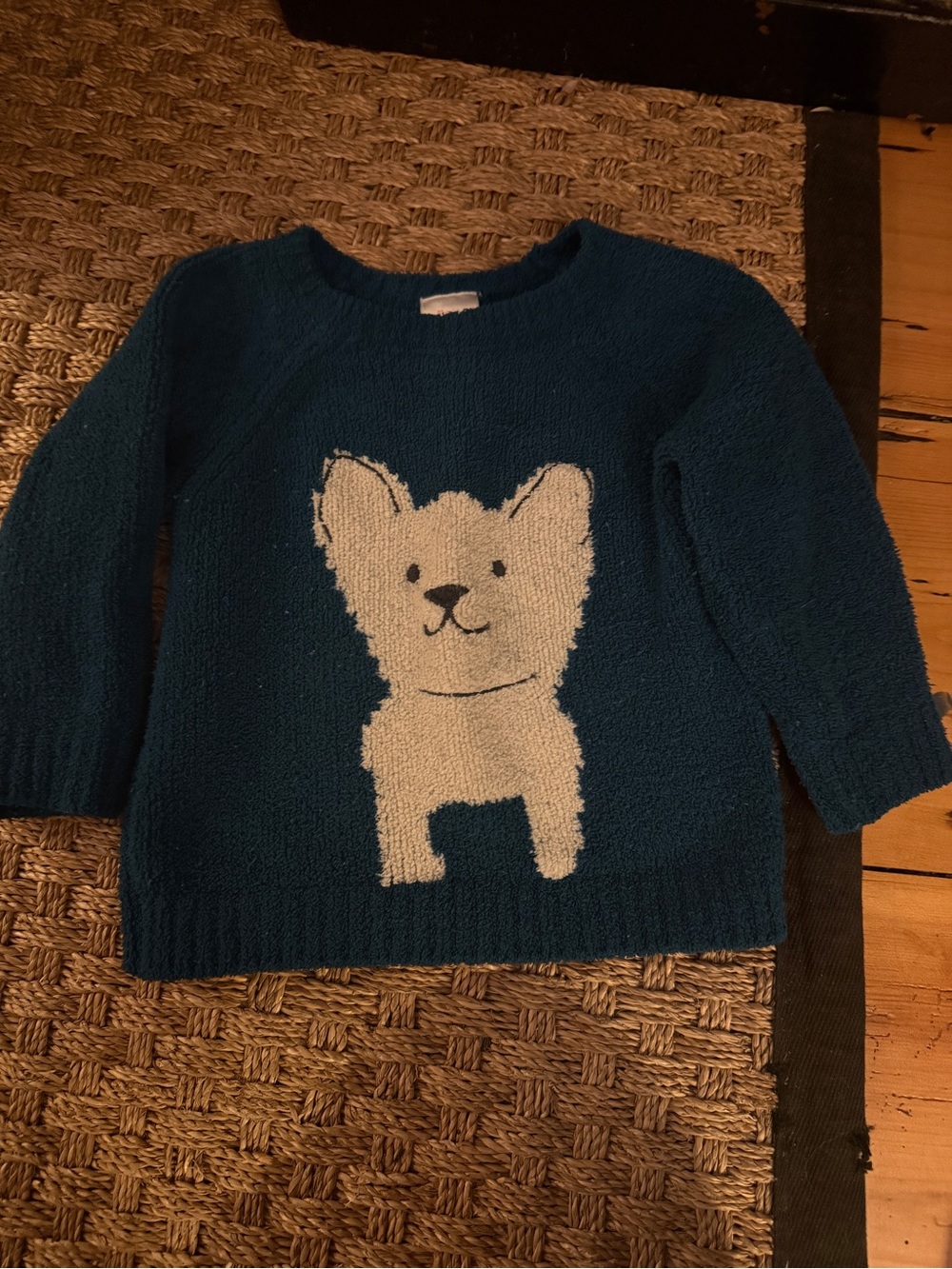 Hanna Andersson Teal Fleece Top